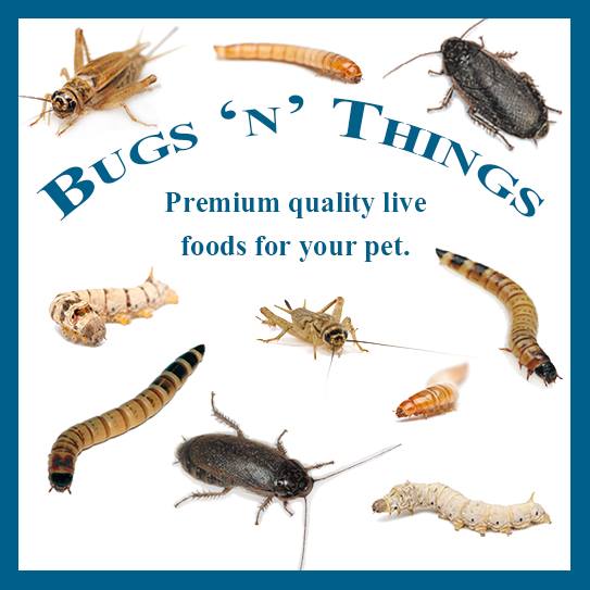 Bugs N Things Supplied Frozen Rodents