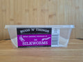 Silkworms Tub 10 pack