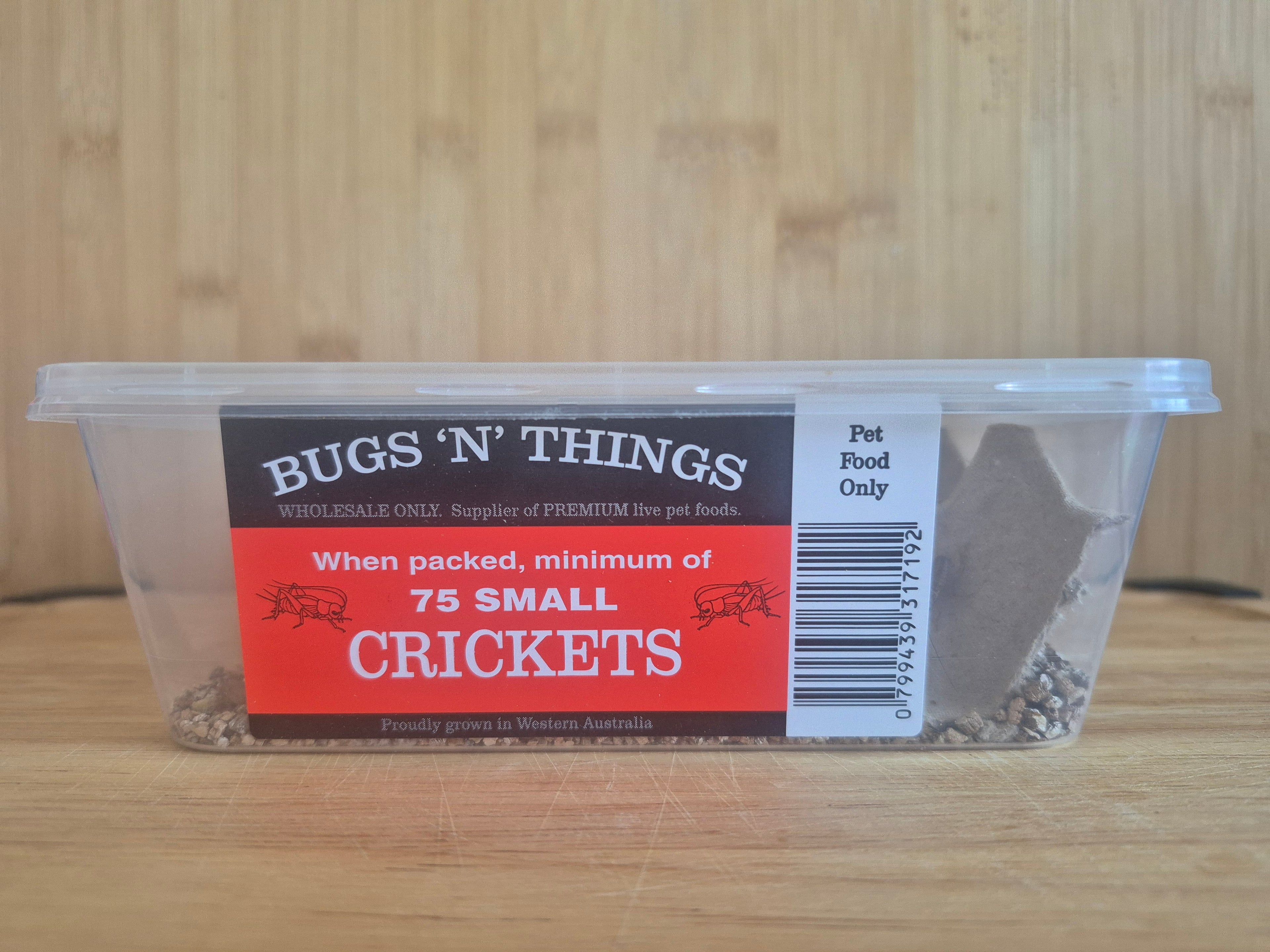 Small Crickets