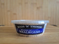 50g Tub Mealworms