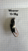 Frozen Weaner Mice